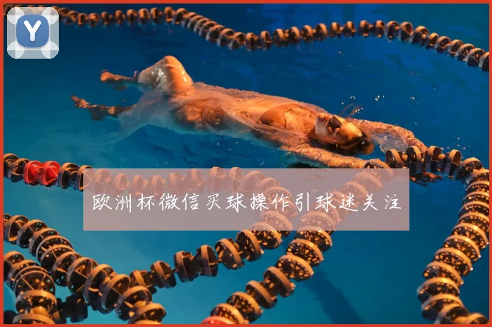 欧洲杯微信买球操作引球迷关注