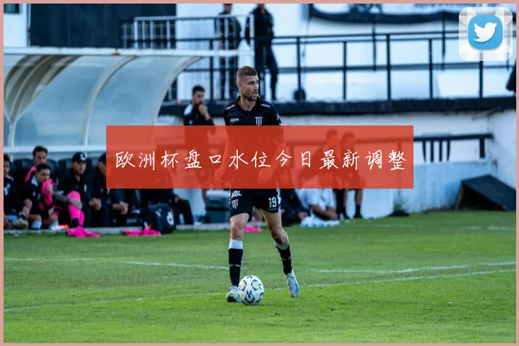 欧洲杯盘口水位今日最新调整