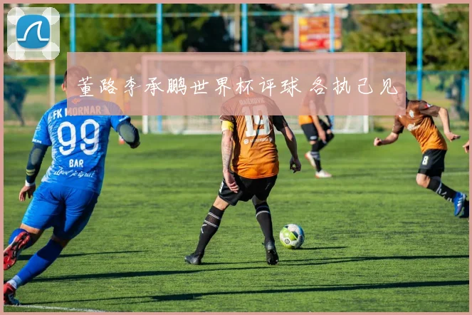 董路李承鹏世界杯评球 各执己见