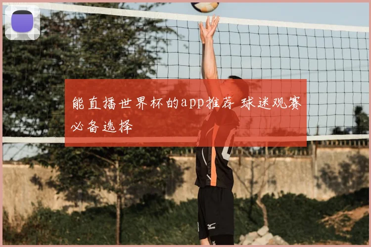 能直播世界杯的app推荐 球迷观赛必备选择